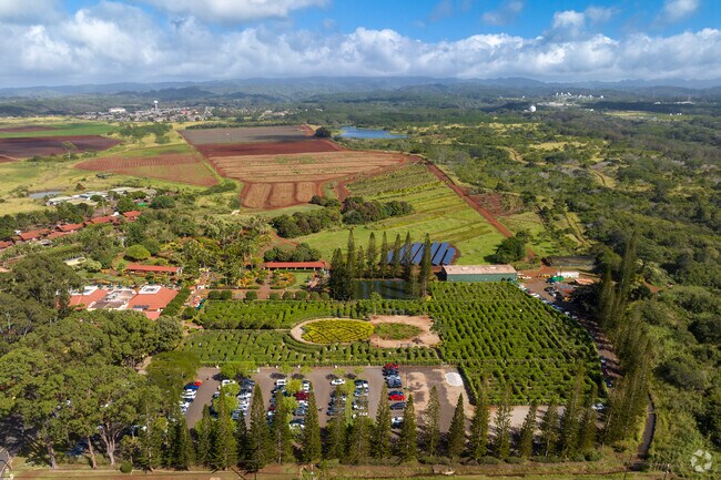 The Pineapple Maze is a tourist favorite in Wahiawa.
