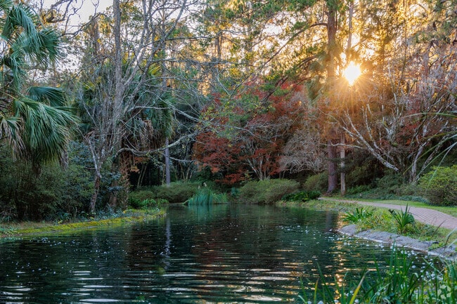 The black pond at Maclay Gardens is home to turtles, frogs, and an occasional alligator.