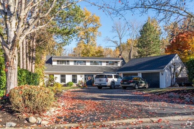 Trees in the fall change colors in the Hunts Point neighborhood.