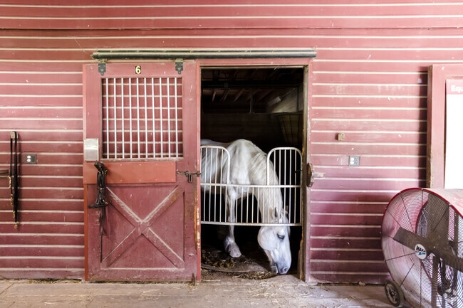 Danada Equestrian Center is located in the namesake forest preserve at Arrowhead.