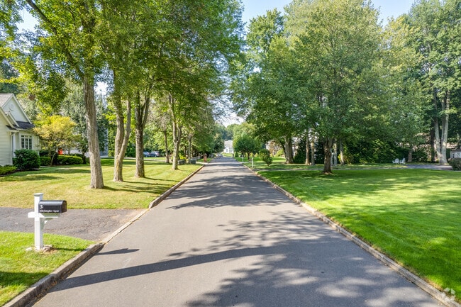 Saugatuck offers beautiful tree lined streets with scenic walkways throughout the neighborhood.