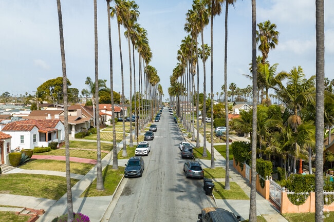 A picturesque Palm tree-lined residential street in View Park.