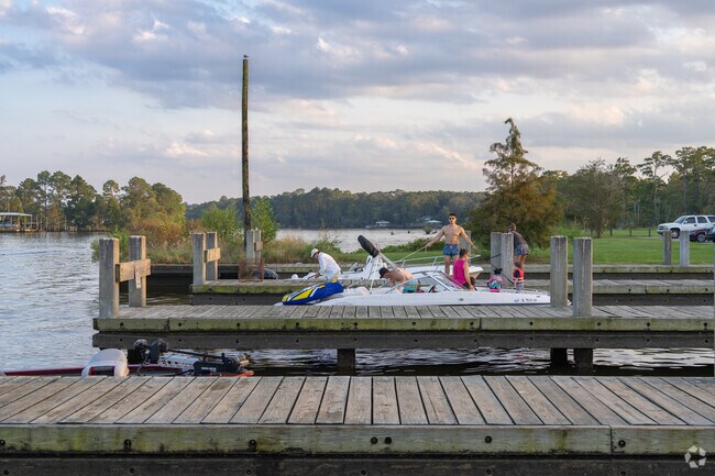 Discovering nature's embrace at Dog River Park.