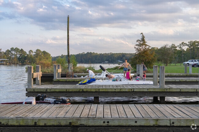 Discovering nature's embrace at Dog River Park.