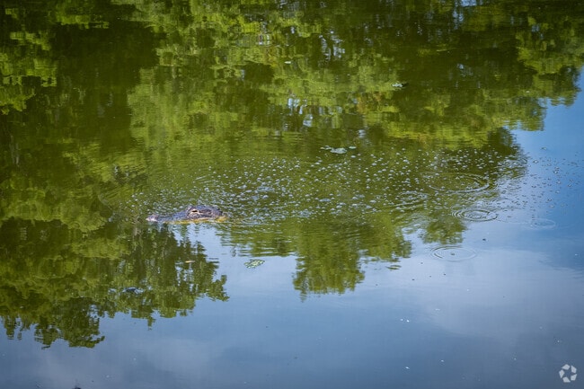 Be careful of the alligators that live in the lagoons of Shipyard.