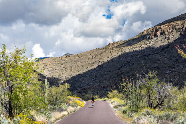 Enjoy breathtakingly beautiful bike ride through Saguaro National Park East.