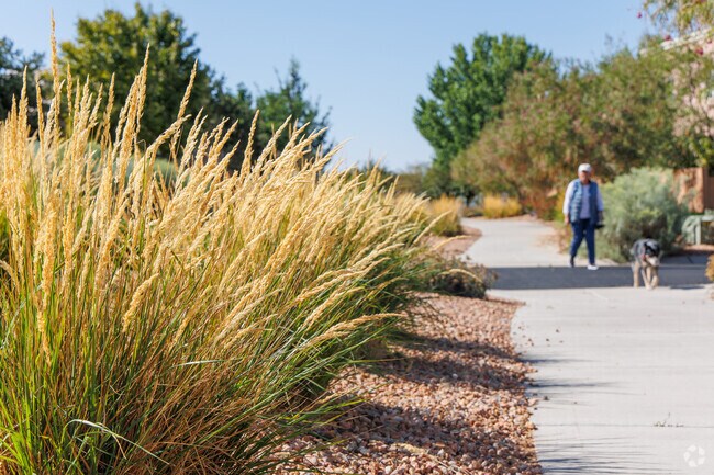 Rancho Viejo has many trails winding through the neighborhood for quaint walks.