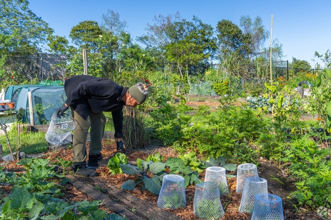 Grow your own vegetables at the neighborhood community garden in Coral Springs.