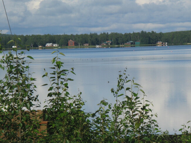 Lake across the road.