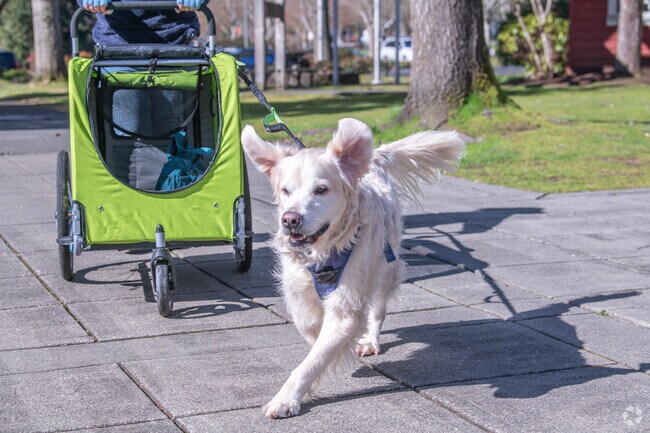 Make a new friend at Bothell Landing Park five minutes away from Norway Hill.