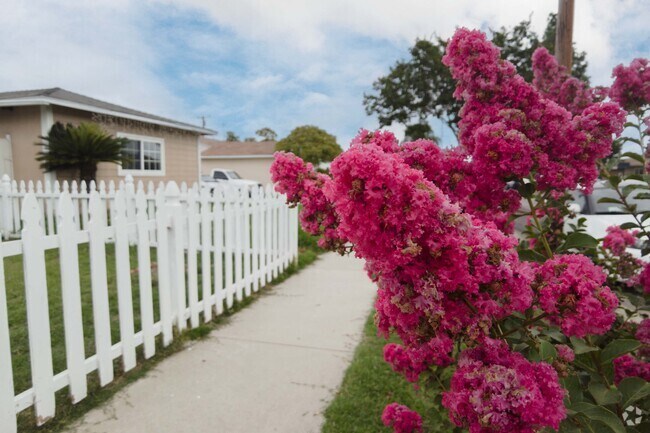 Well-kept yards are common in Studebaker, Norwalk, California.