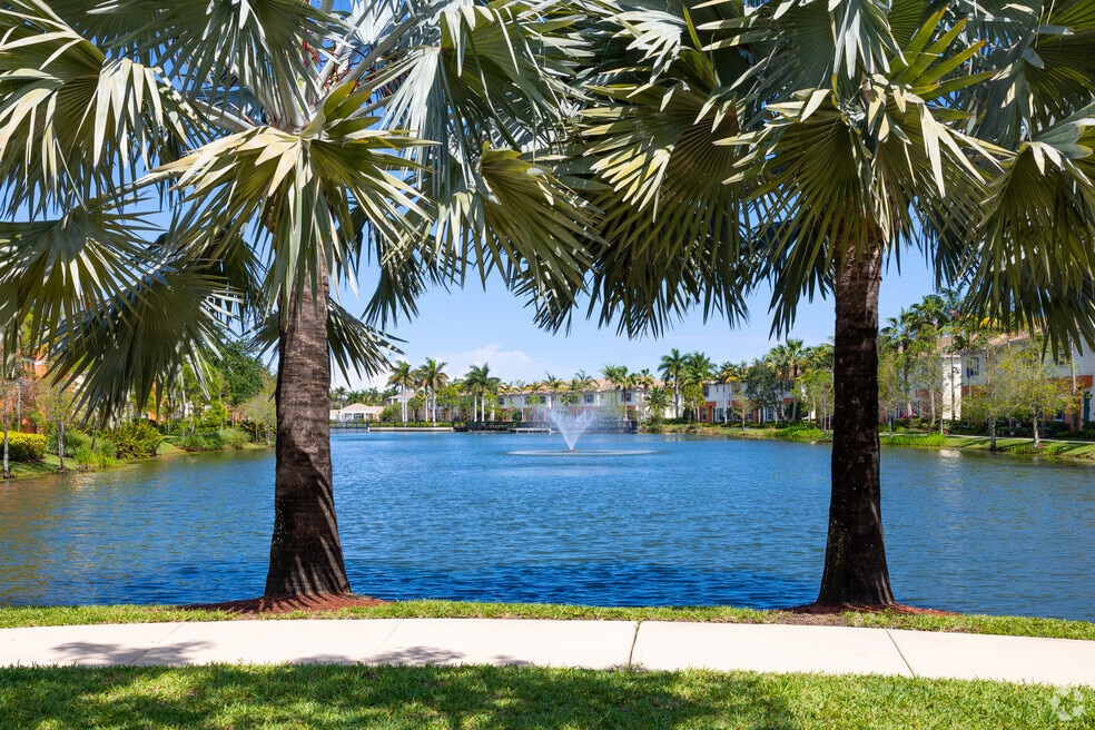 South Dixie_528204_BG_080725_V1