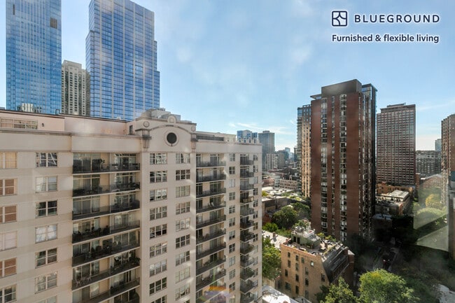 8 W Chestnut St unit FL18-ID1301, Chicago, IL 60610 - photo 5