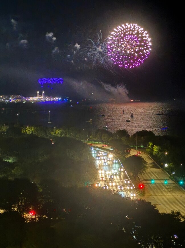 Mueseum Park Tower III unit 1604, Chicago, IL 60605 - photo 5