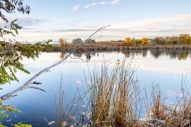 Wendell City Park includes a pond popular with anglers and picnickers.