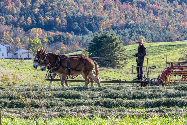 Haines's large Amish community works its farms using traditional methods.