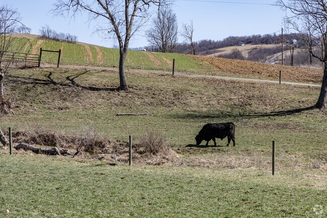 Crops, cattle, and horses are commonly found throughout the rolling hills of Hopewell Township.