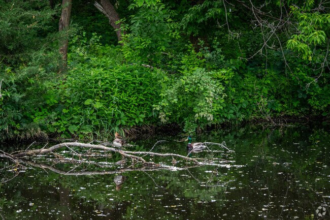 Discover the tranquility of Kinsel Park's serene setting.