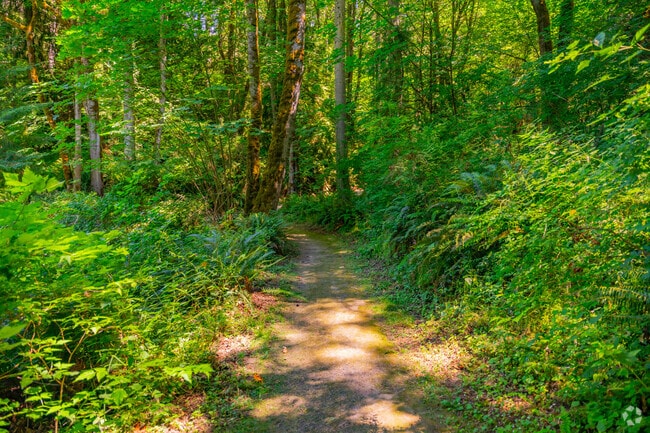 Trail wind through Kopachuk State Park.