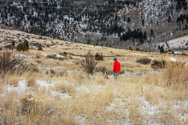 Maud S. Canyon Trail offers Floral Park residents the opportunity to go on a nice hike.
