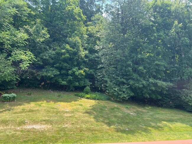 View from deck
