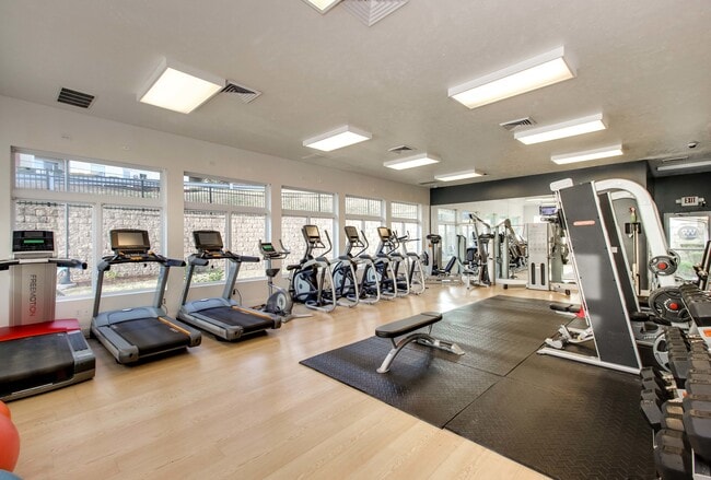 08-Expansive Gym West Run Apartments Morgantown WV-1818-PH-16