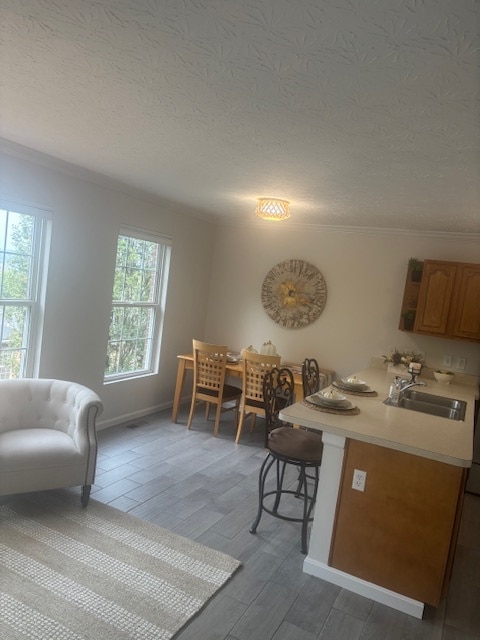 First Floor Living Area
