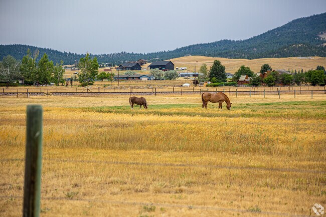 Horses can be found grazing on Helena Valley West Farmland.