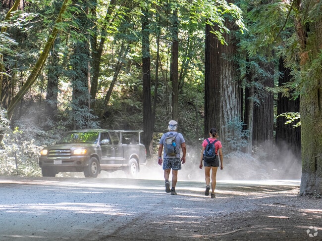 Nisene Marks State Park has trails winding through dense redwoods.