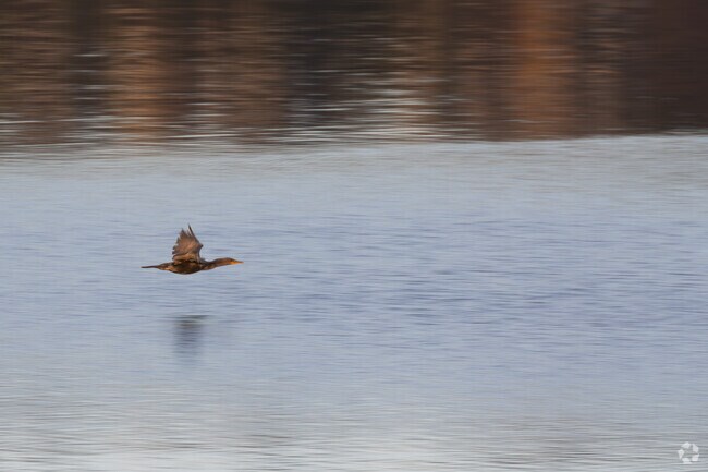 Columbia River offers rocky shores and nature views.
