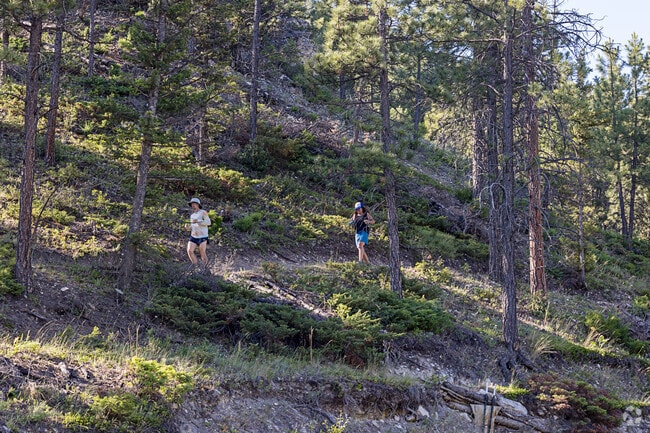 Runners, hikers and bikers head to the trails in the Gulches.