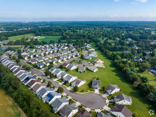 Beautiful trees line the neighborhood in Westampton.
