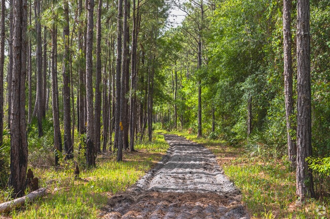 Hike the shaded trails at Crooked Lake Wildlife & Environmental Area in Oakridge Estates.