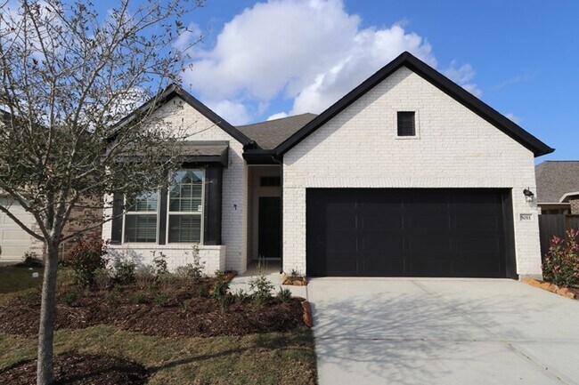 1196 Wandering Brook St unit 36473101, Magnolia, TX 77354 - photo 3