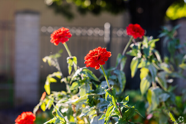 Hornet Park Elementary School in Indianapolis has a beautiful garden.