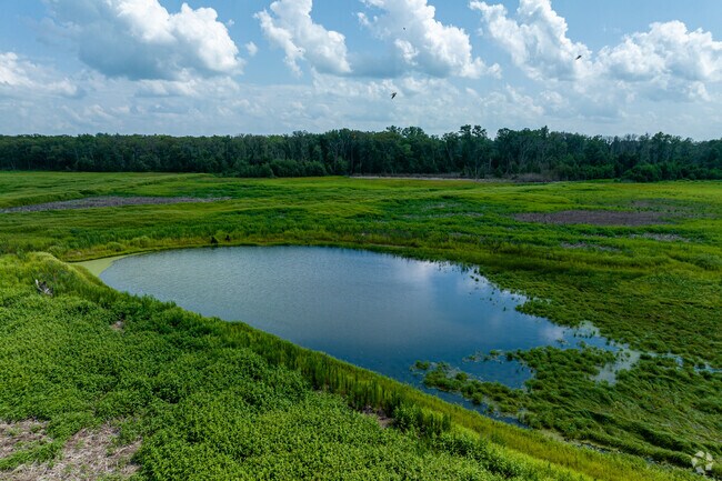 The J.C Murphy Lake is 1200 acres large, but is closed to boating during waterfowl season.