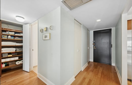 Plaza on Dewitt unit 3303, Chicago, IL 60611 - photo 5