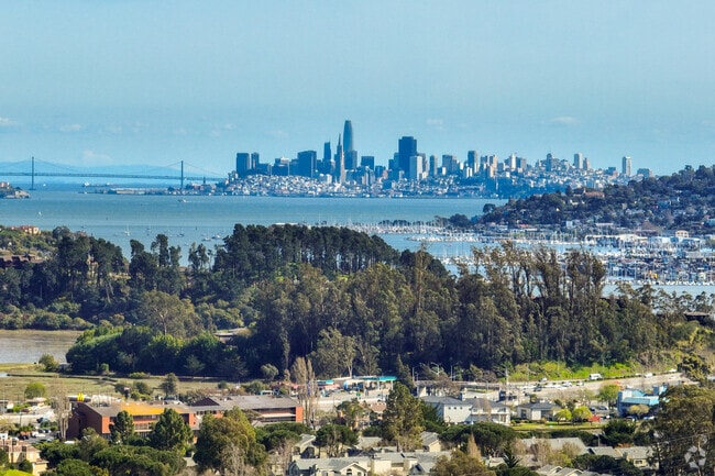 San Francisco is only a half an hour drive from Downtown Mill Valley.
