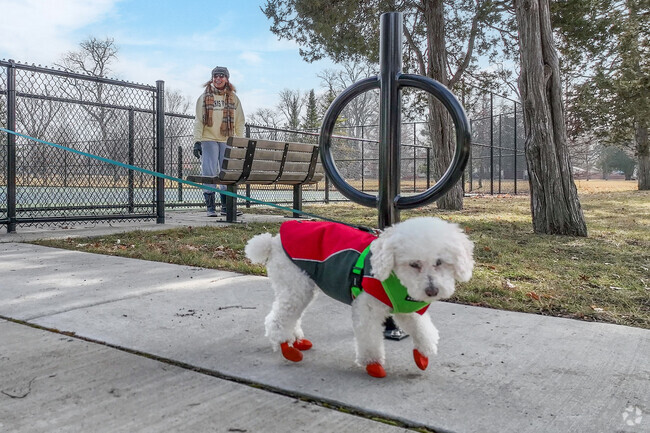 A cute poodle dressed for the cold weather in the Hawthorne neighborhood.