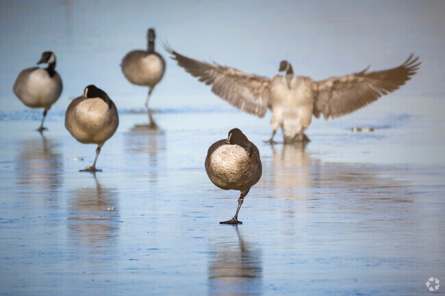 Broomfield offers serene wildlife refuges and open spaces for peaceful nature escapes.