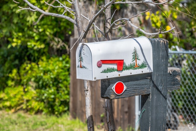 Some residents have custom painted mailboxes to spruce up Ben Ali.