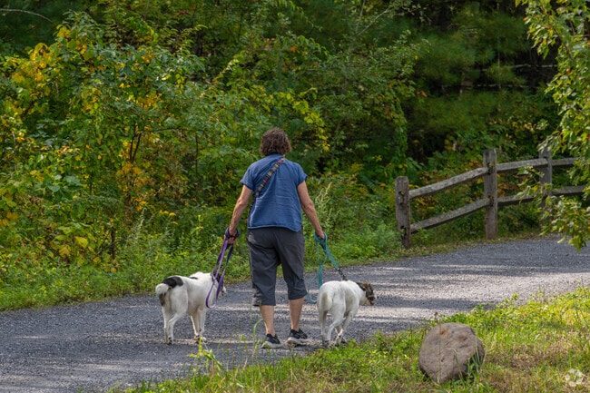 Shokan is a very pet friendly community with tons of trails and nature.
