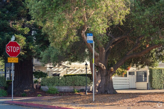 Public transit in Skyline Forest includes two key Monterey-Salinas bus stops.