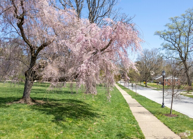 Oakenshawe Is A Thoughtfully Landscaped Community