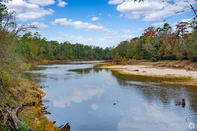 Spanning over 2,400 acres, Village Creek State Park offers a diverse array of activities.
