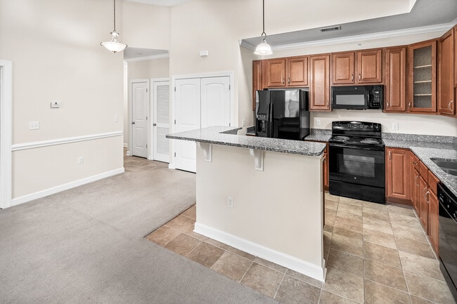 Ballantyne Commons of Hendersonville, Hendersonville, NC 28792 - photo 7