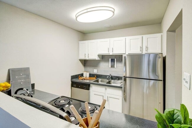 IMG_1463_4_5_6_7 copy no text