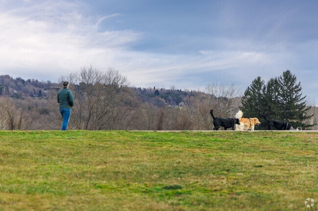 Dog walking is a popular outdoor activity in and around Southwood, no matter the weather.