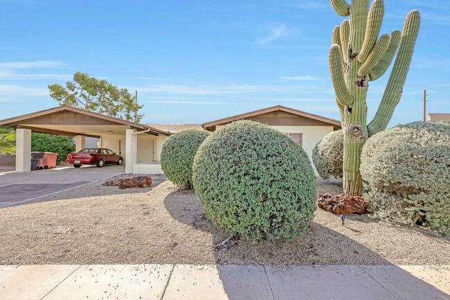 7949 E Luke Ln, Scottsdale, AZ 85250 - photo 5