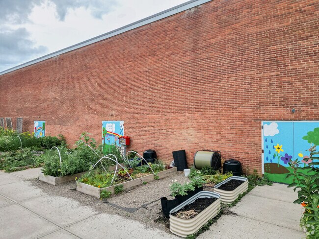 Jessie T Zoller School tree nursery is cared for by staff and students.
